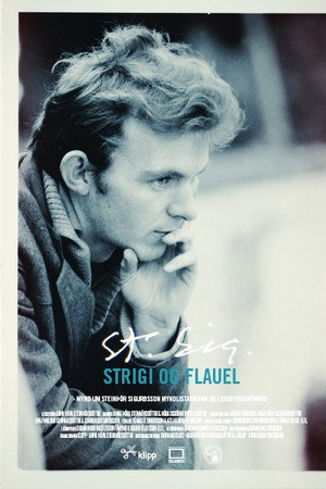 St. Sig: Strigi og flauel
