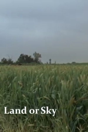 Land or Sky