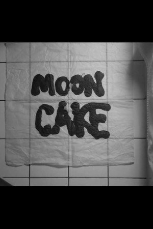 Moon Cake