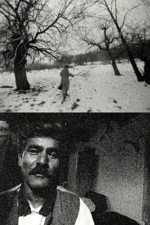 Dobré srdce (Lačho jilo)