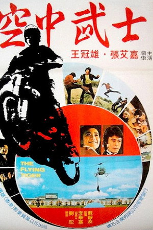 飛虎小霸王