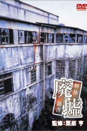 廃墟 解体 新書