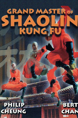 达摩神功