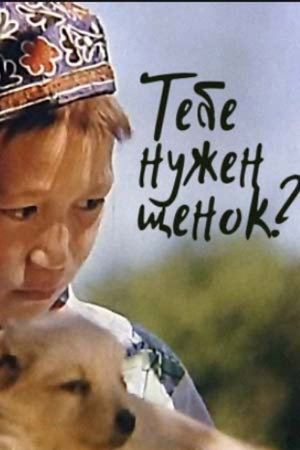 Тебе нужен щенок?
