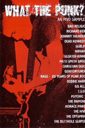 What the Punk - An MVD Sampler