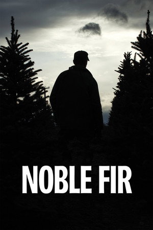 Noble Fir