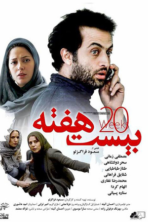 20 هفته