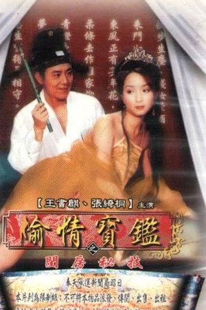 偷情寶鑑之閨房秘技