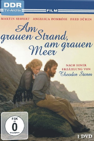 Am grauen Strand, am grauen Meer
