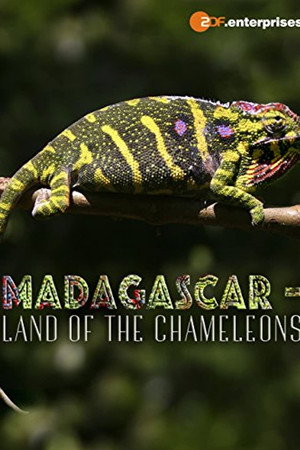 Madagascar: Land of the Chameleons