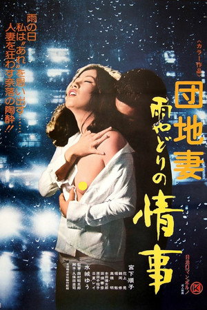 团地妻:雨天情事