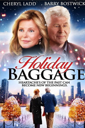Holiday Baggage