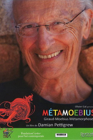 MetaMoebius