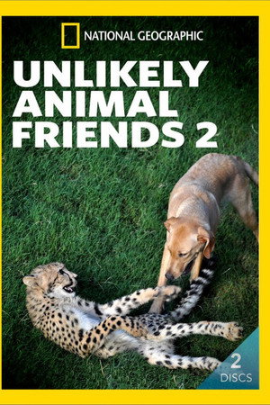 Unlikely Animal Friends. Vol. 2