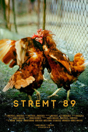 Stremt 89