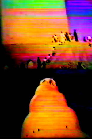 Dream of Samarra