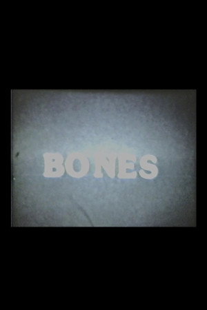 Blood Bones and Spirits
