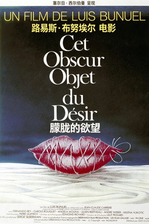 朦胧的欲望