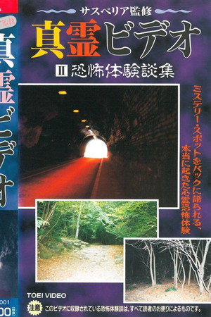真霊ビデオ2　恐怖体験談集