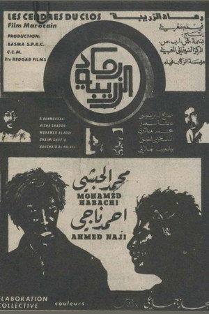 Ramâd al-zariba