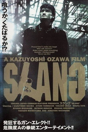 SLANG 黄犬群