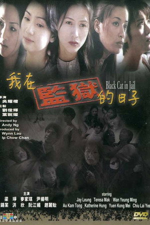 我在监狱的日子