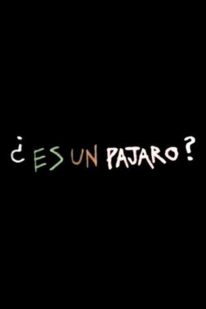 Es Un Pajaro