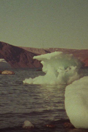 Jenny's Arctic Diary