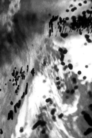 Silver Traces