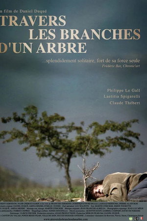 À travers les branches d'un arbre