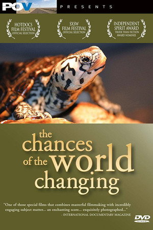 The Chances of the World Changing