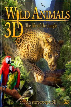 野生动物 丛林中的生命-3D