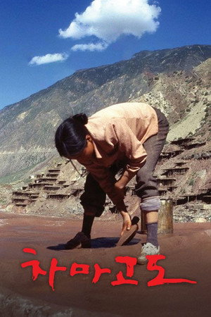 KBS:茶马古道
