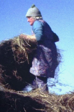 Land Makar