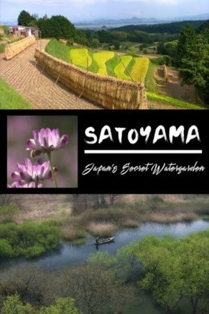 映像诗:日本里山神秘水上花园