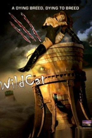 WildCat