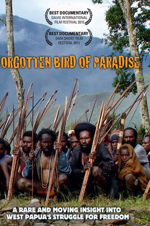 Forgotten Bird of Paradise