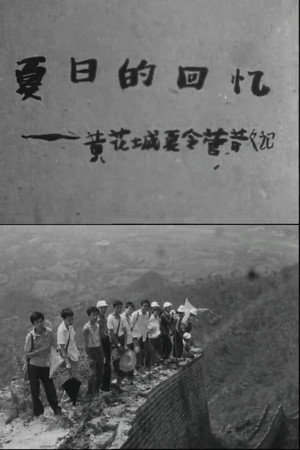 夏日的回忆