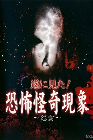 心霊THEドキュメント 遂に見た！恐怖怪奇現象 ～怨霊～