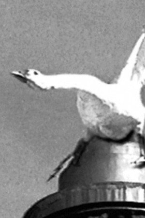 Изловленный ловец