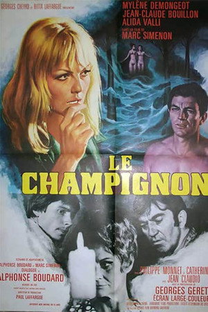 Le champignon