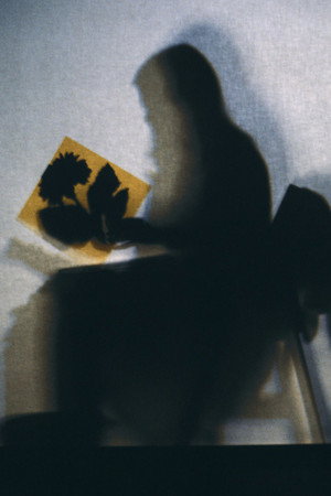Lourdes Castro Sombras